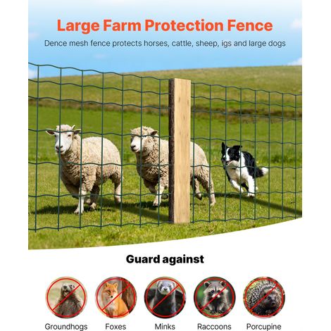 Grillage Métallique Vert Maille 10 x 10 cm Rouleau Grillage Clôture à Mouton Soudé 1 x 20 m Fil en Fer Galvanisé Revêtement Vinyle PVC Diamètre Fil 2,1 mm pour Jardin Enclos Cage Animaux Ranchs (1/5)