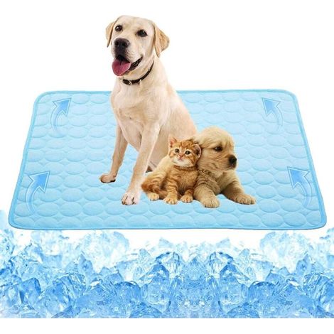 Soie glacée coussin froid froid tapis pour animaux de compagnie coussin de canapé d'été chat et chien (2XL, 150 x 100 cm)-Fei Yu (1/4)