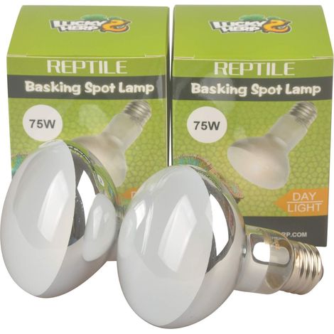 Lot de 2 ampoules chauffantes 75W pour terrarium reptile lampe chauffante lumière du jour spectre complet pour lézard tortue serpent (1/5)