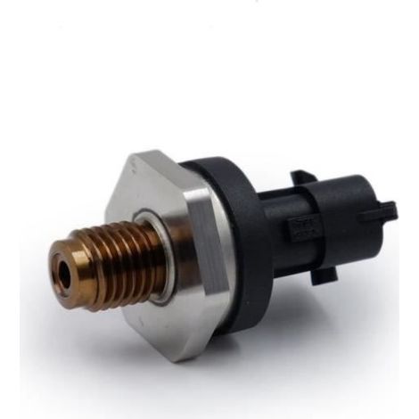 Kraftstoffdrucksensor - Renault 1,9 dCi - Kompatibel mit Bosch - Mehrere Referenzen - 0281006241