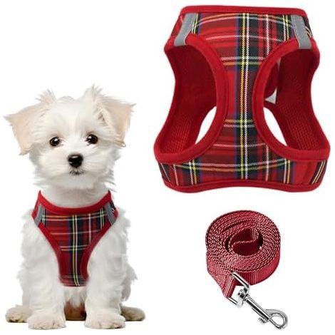 Harnais Step-In Petit Chien, Laisse, Anti-Traction, Reglable, Maille Douce, Chiots, Animal (1/5)