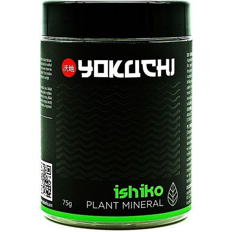 Yokuchi ishiko 450G