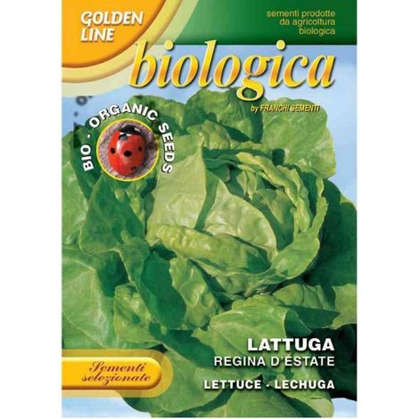 SEMI LATTUGA REGINA D'ESTATE 2 BIO FRANCHI SEMENTI