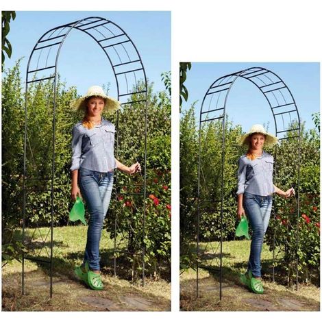 Arco per rampicanti da giardino in acciaio confezione da 2 pezzi (1/3)