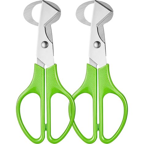 Tijeras para huevos de codorniz, tijeras de acero inoxidable para huevos, cortador de cáscaras de huevo, cortador de cáscaras de huevo para cortar huevos de codorniz, abridor de cáscaras de huevo para (1/5)