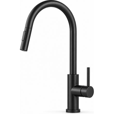 Black Stainless Steel Kitchen Mixer Tap with Touch Pull-Out Spray (1/5)