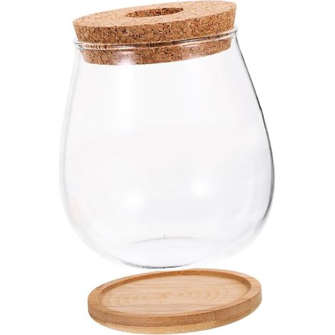 Vase Verre Transparent avec Couvercle pour Terrarium Hydroponique Décoratif Élégant (1/5)