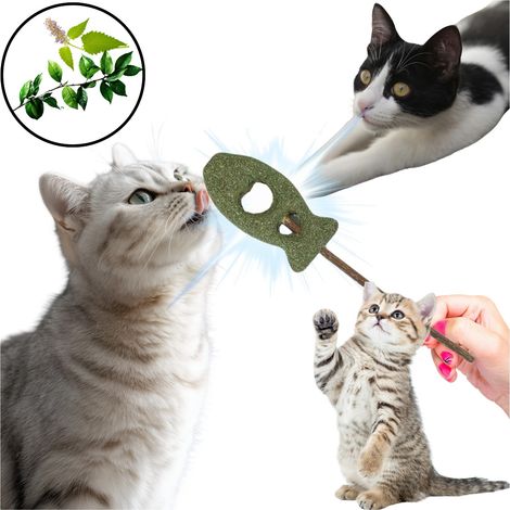 Poisson Matatabi pour chats - Jouet nettoyant anti-tartre 100 % naturel (1/5)