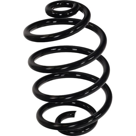 Suspension arrière à ressort rapide FT01940 (1/4)
