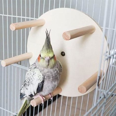 Jouet oiseau perroquet, YSTP balançoire ronde à mâcher, barre debout jouet perroquet, 20x10cm (1/4)