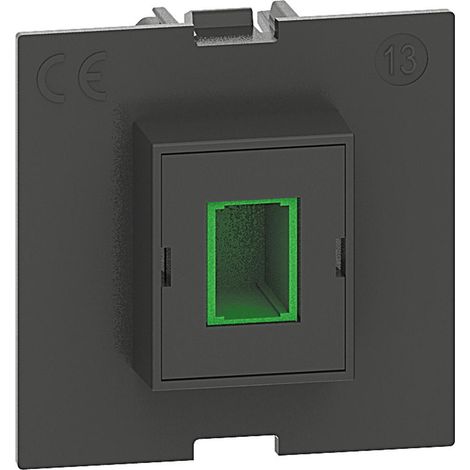 Prise optique SC/APC simplex Living Now 2 modules BTICINO BTK4268SCA