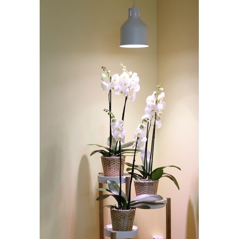 Venso E27 SAGA Lampenschirm Weiß LED Pflanzenlampe (1/2)