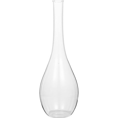 Vase à Col Fin en Verre Borosilicaté Transparent pour Fleurs (1/5)