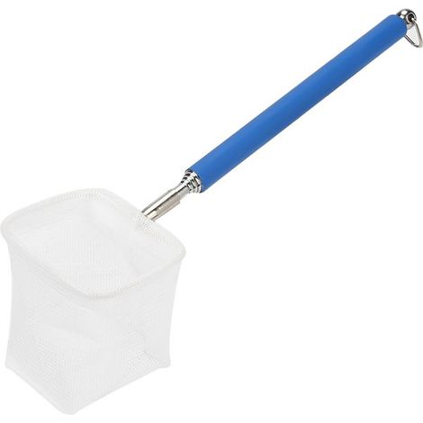 BelleRise - Épuisette télescopique 20-57,5 cm acier inox – filet 3D bleu – pour crevettes et petits poissons (1/5)