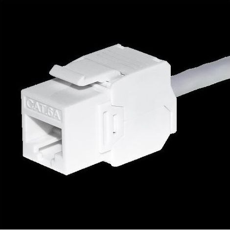 Module Keystone Jack RJ45 Cat. 6A UTP, sans outil, blanc Netrack