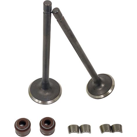 Le cylindre du moteur de moto AN125 est compatible avec les clips de verrouillage de soupape, les clips de verrouillage de soupape et les soupapes fixes Suzuki AN 125 HS125T 125CC.
