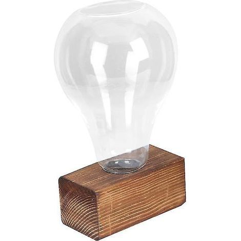 Zwiebelförmige Hydrokulturvase (1 Stück) (1/3)