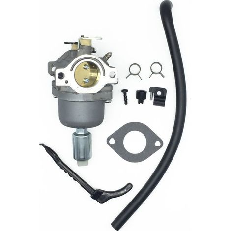 Carburateur pour Moteurs Briggs & Stratton 287707 287776 287777 310707 310777 698620 690194 791886 799727 496796 499153 695412 792768 Remplacement du carburateur (1/4)