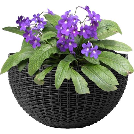 Blumen Pflanzer Halbrunder Wandblumentopf im Blumen