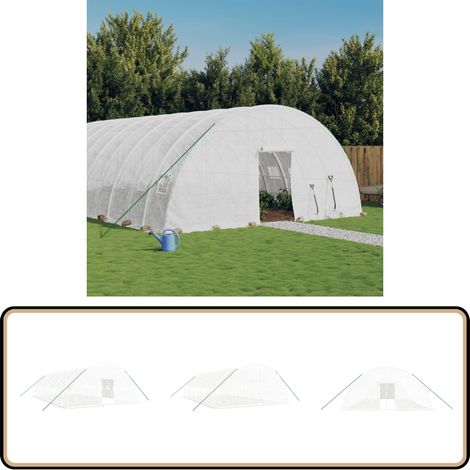 Serre avec cadre en acier blanc 60 m² 10x6x2,85 m - Serre Jardin - Abri Jardin - Greenhouse - Serrez Verdure - Potager Extérieur