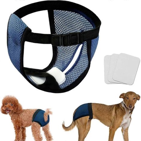 Couches-culottes résistantes à la chaleur pour chiens, couches réutilisables, contient 3 couches de rechange, couches-culottes résistantes à la chaleur pour chiennes, coussinet de protection ajustable