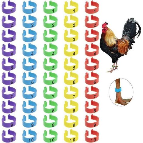 Hühnerbeinringe, 50 Stück Identifikationsbeinbänder, nummerierte Clip-on-Geflügelbeinringe für Huhn, Ente, Hähnchen, Gans (5 Farben, 16 mm) (1/4)