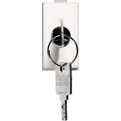 Coperchio Ip55 Per Scatola 503E 3 Moduli (Bticino Cod. Am5007P)
