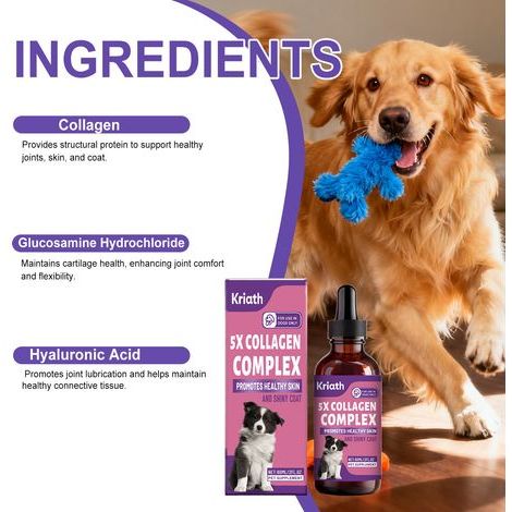 Gouttes de collagène pour chiens - Soin des articulations, formule nourrissante pour la peau et le pelage - 60 ml (1/5)