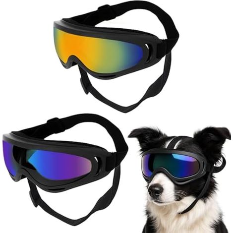 2 Pièces Lunettes Réglables Lunette pour Chien Coupe-Vent et Protection Lunettes Chien UV Lunettes de Soleil pour Chiens Adaptées aux Chiens de Taille Moyenne et Grande Résistance à l'usure (1/4)