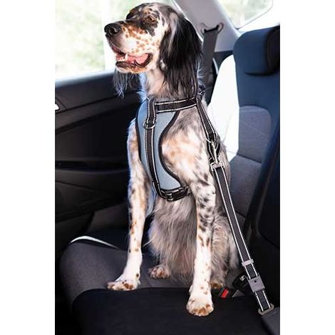 [NON UTILIZZATO] OUTLET Pettorina per auto con cintura di sicurezza Ibañez Dogway SIZE S (1/5)
