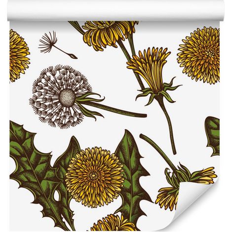 Carta da parati con tarassaco in fiore per soggiorno e camera da letto, 50x1000 cm (1/5)