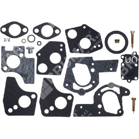 Kit de réparation pour carburateurs BRIGGS & STRATTON 494624 - 495606 - 006640