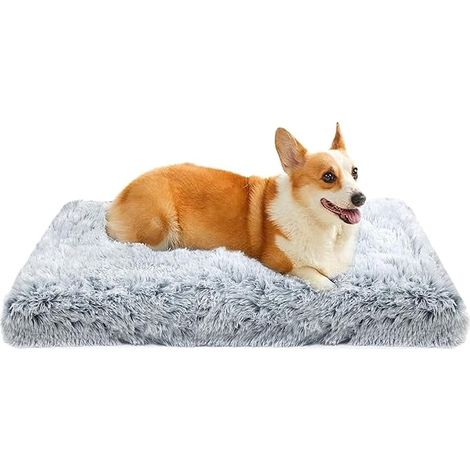 Coussin Chien 75 x 50 cm, Matelas Lavable Chiens Jusqu'à 17 kg Mousse 8 cm, Peluche douce, Lavable machine, Base antidérapante, Panier Moyen Chien Jusqu'à 17 kg (1/5)