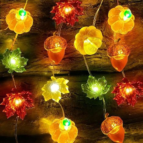 Decorazione autunnale ghirlanda luminosa 3M 30LED, ghirlanda di foglie d'acero zucca nocciola, decorazione autunnale a batteria 3D (1/4)
