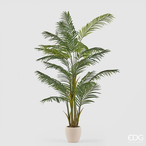 EDG Enzo De Gasperi Pianta Artificiale Palma Areca Vogue con Vaso H210 cm – Pianta Decorativa Realistica Design Moderno