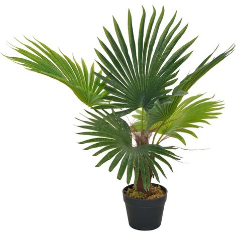 vidaXL Planta artificial palmera con macetero 70 cm verde (1/2)