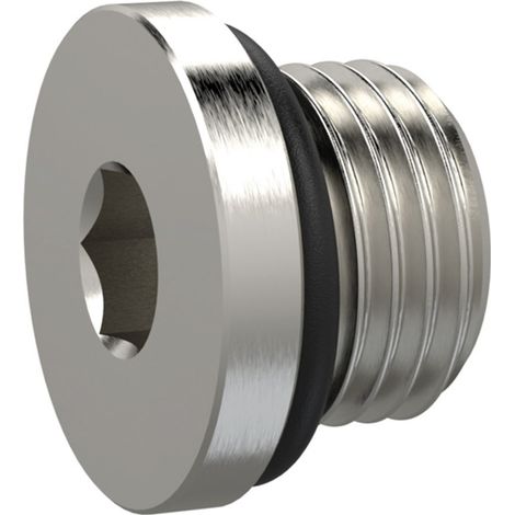 Riegler Verschlussschraube, Innensechskant 19 mm, G 1, NBR O-Ring, MSN (1/3)