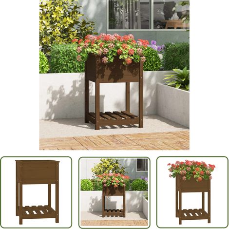 The Living Store Jardinière avec étagère Marron miel 54x54x81 cm Bois de pin - Jardinier - Jardinière Bois - Pot De Fleurs Extérieur - Plante - Décoration Extérieure (1/5)