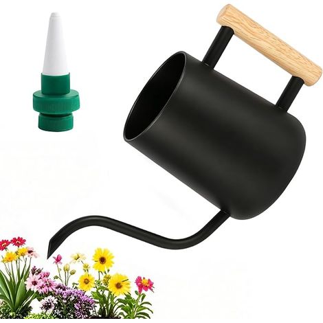 Arrosoir Plante Interieur, Arrosoir de Jardin, Arrosoir en Acier Inoxydable avec Long Bec et Poignée en Bois, pour Arroser Les Petites Plantes en Pot et D'intérieur