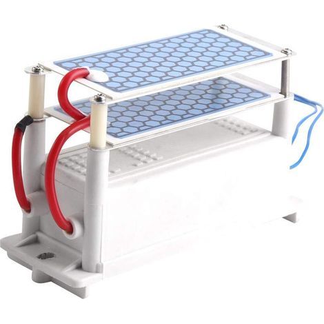Générateur d'ozone à CA 110V, générateur d'ozone à double couche 10g/h costume de générateur d'ozone en plaque en céramique porable pour réfrigérateur, sécheuse, purificateur de voiture (1/5)