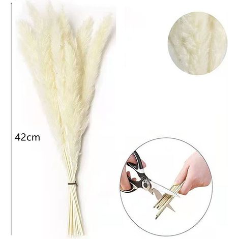 30 petites fleurs séchées blanches en roseau, idéales pour décorer un bouquet d'immortelles et d'herbes de la pampa. Décorations de Noël à faire soi-même. (1/5)