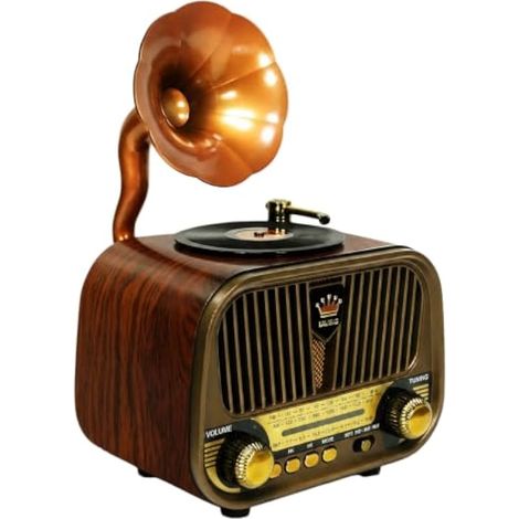 Radio Portable Vintage Bluetooth 5.4, avec Batterie 1200mAh, Radio Bluetooth avec USB TF AUX, Vintage Multifonction avec Puce DSP Et Réception AM/FM/SW pour Maison Et Voyage (1/5)