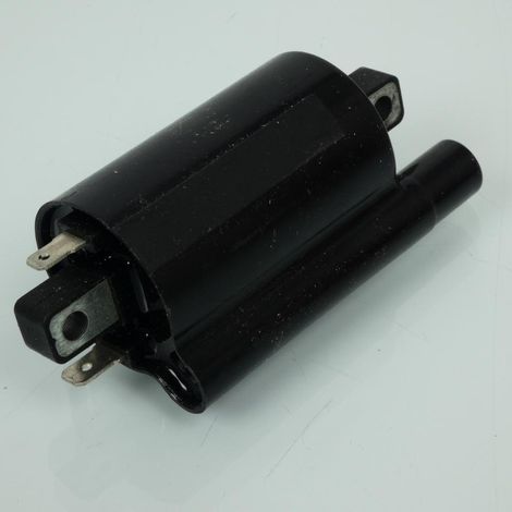 Hochspannungszündspule P2R für Honda 125 Silver Wing Roller,