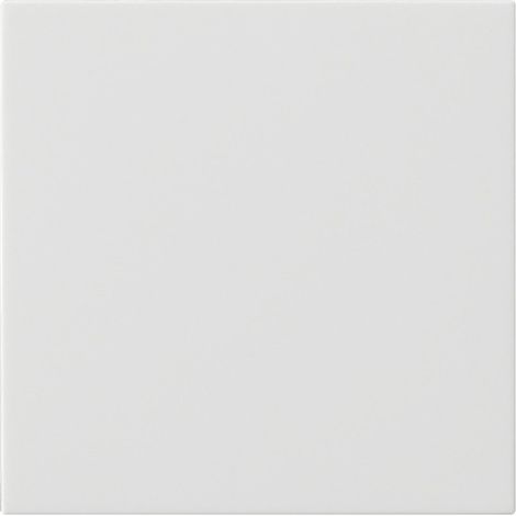 Schalter Gira 537203 Weiß System 55 modern