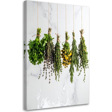 Wandbild Kräuter Gewürze Pflanzen 40x60 cm (1/5)