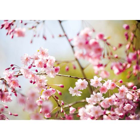 Tableau été motif fleur rose | Tableau printemps japonais pour salle de bain | Tableau sur toile fleuri pour cuisine & chambre adulte 0,7 x 0,5 m (1/2)