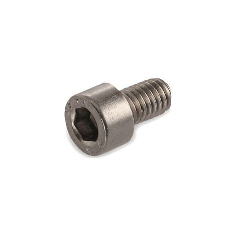 VIS A TÊTE CYLINDRIQUE M 6X10-A4-70 DIN POUR NETTOYEUR HAUTE-PRESSION KARCHER - 73061300