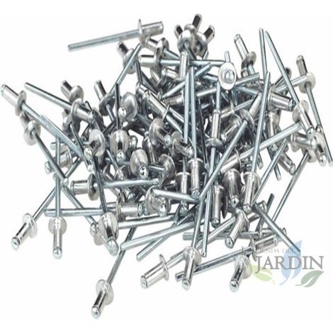 Kit 500 rivetti cavi da 2 a 8 mm