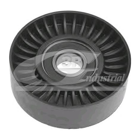 3RG 13207 RODILLO TENSOR