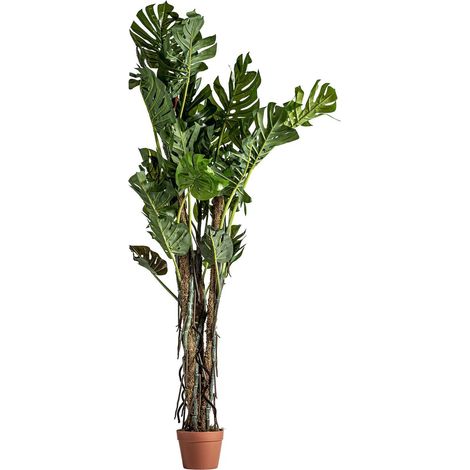 plante split philo verte décorative style shabby chic vieilli - Vert feuillage vieilli naturel (1/5)